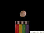 L_V22d6531 A16q828.2 Tx06 dM sh f313